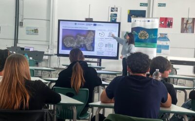 Third Youth Think Tank Portoferraio November 12 ,2025